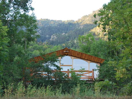 NID D'AMOUR EN FORET