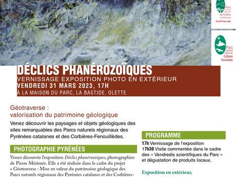 EXPO PHOTO EN EXTÉRIEUR: "DÉCLICS PHANÉROZOÏQUES"