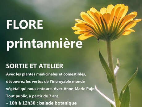FLORE PRINTANNIÈRE