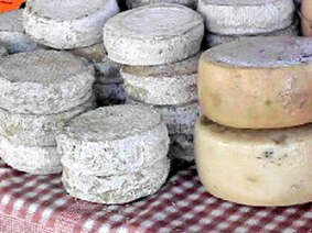 FROMAGERIE DE SAINT MICHEL DE CUXA (GAEC)