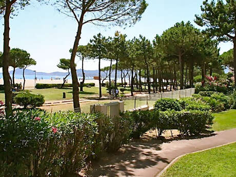 SPLENDIDE VUE MER ET CÔTE T2 EN REZ DE JARDIN