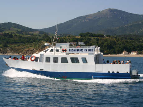 Toutes Les Activites Office De Tourisme Argeles Sur Mer Toutes Les Activites Office De Tourisme Argeles Sur Mer