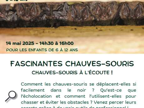 FASCINANTES CHAUVES-SOURIS