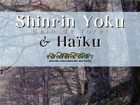 SHINRIN YOKU