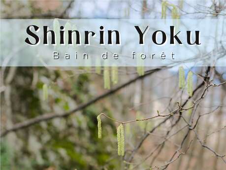 SHINRIN YOKU