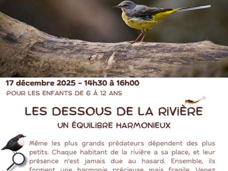 LES DESSOUS DE LA RIVIÈRE: UN ÉQUILIBRE HARMONIEUX!