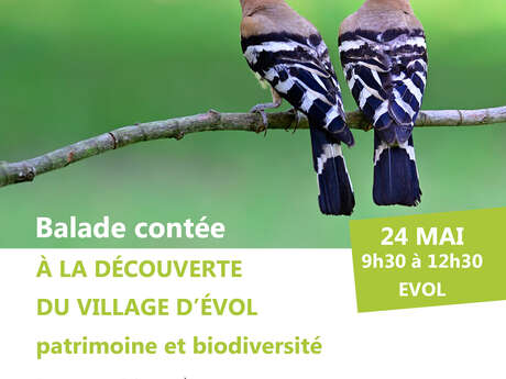 BALADE À LA DÉCOUVERTE DU VILLAGE D'ÉVOL