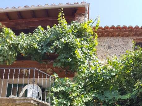 CARRER MAJOR LES HORTENSIAS