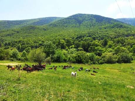 FERME DES CARDALINES