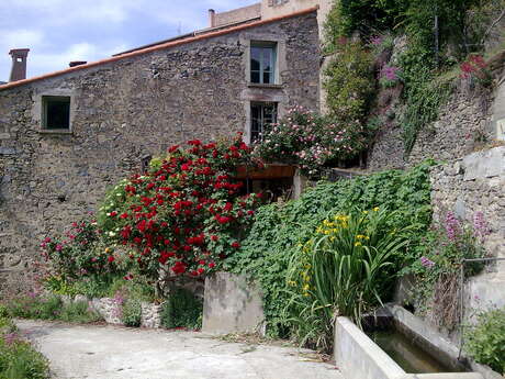 LA MAISON DES ROSES