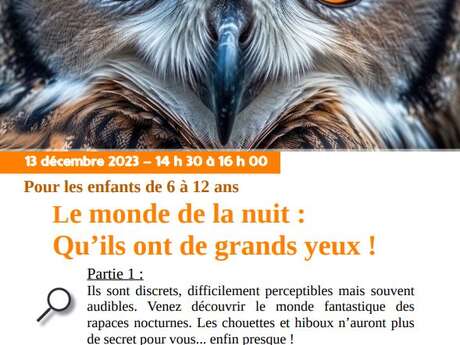 LE MONDE DE LA NUIT: QU'ILS ONT DE GRANDS YEUX!