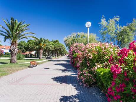 PROMENADE DU BORD DE MER