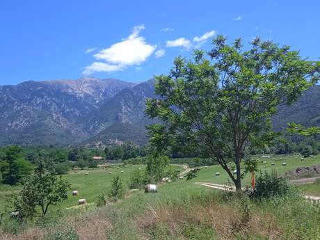LES BALADES DU CONFLENT "LE LONG DU COL DE JAU"