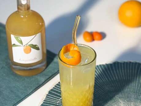 DOMAINE DE L'ARBRE BLANC