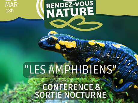 RENDEZ-VOUS NATURE : LES AMPHIBIENS