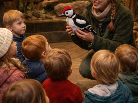 Musée des tout petits 2-4 ans - Nouvelle version !