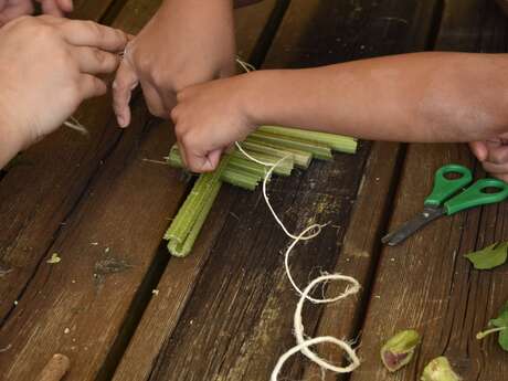 Atelier famille "Musique nature : composez avec la nature"