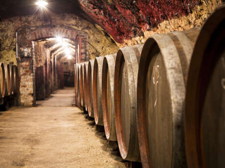 Vignoble et cave : visite guidée par un.e vigneron.ne alliant la nature et technique : Balade dans les vignes de la Vallée du Loir, visite du domaine, du chai e