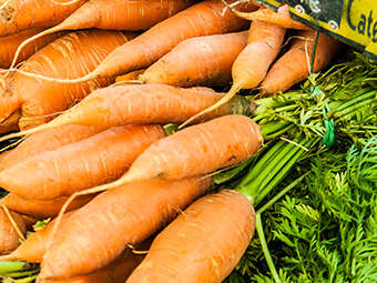 PAT : Visite de la ferme Les Jardins du Maine
