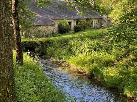 Gîte le Moulin de Laurière