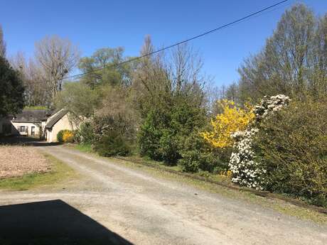 Gîte Le Moulin de Crampaux 15 personnes