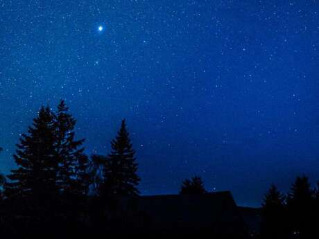 Une nuit à la belle étoile au cœur de la forêt de Bercé !  Avec F. Lasserre