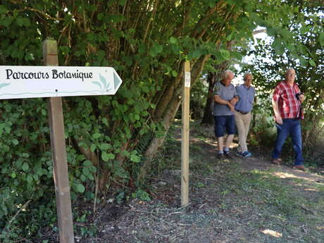 Rando Clim Parcours botanique, Chemin du boudin de son