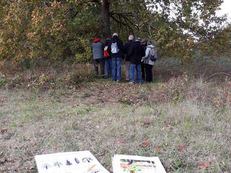 Rando Clim Sentier ENS Prairie de Cherré Aubigné Racan