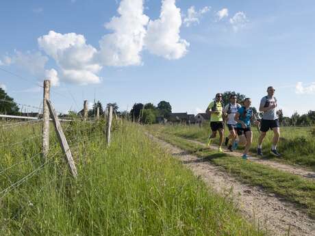 Trail sentier des cavaliers