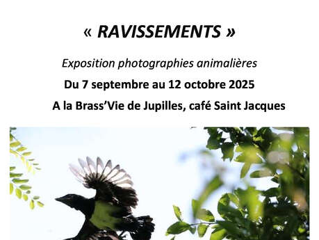Exposition photographies animalières Exposition photographies animalières