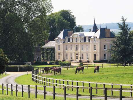 Château-hôtel de charme Haras de la Potardière