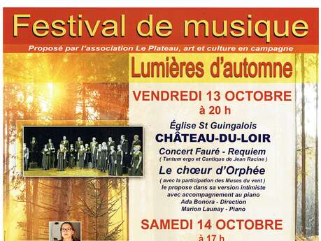 FESTIVAL DES LUMIERES
