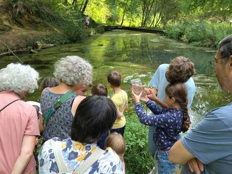 Balade ONF "Grenouille et Cie"