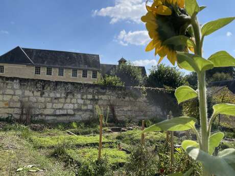 L'intelligence du végétal au service du vivant