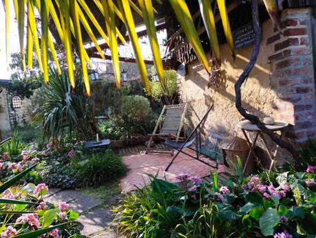 Clos sur Loir Cottage - Jardin Yuccas