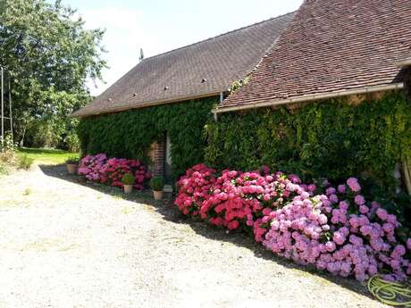 Gîte la Pinière