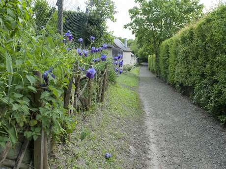 Sentier patrimoine de Neuvy-le Roi