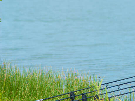Parcours de pêche - Base de loisirs de la Monnerie