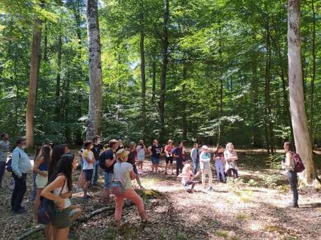 PROMENONS-NOUS DANS LA FORÊT PROMENONS-NOUS DANS LA FORÊT