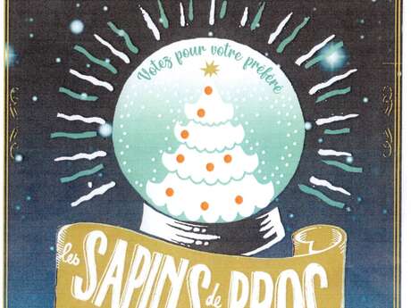 LES SAPINS DES BROC