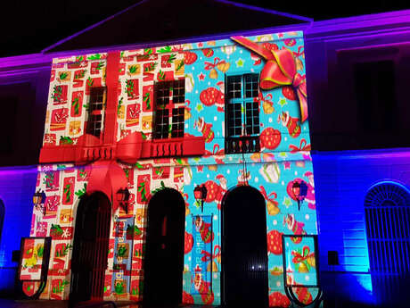 Spectacle vidéo féérique