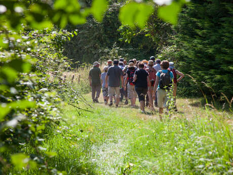 Visite guidée de  Mareil-sur-Loir