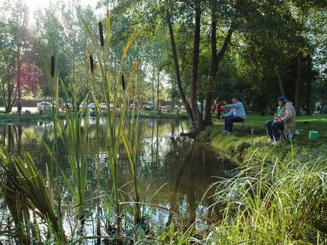 PÊCHE À LA TRUITE DU MOULIN HUBEAU