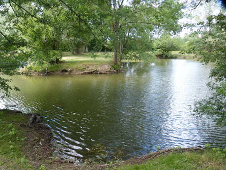 Pêche aux étangs d'Asnière