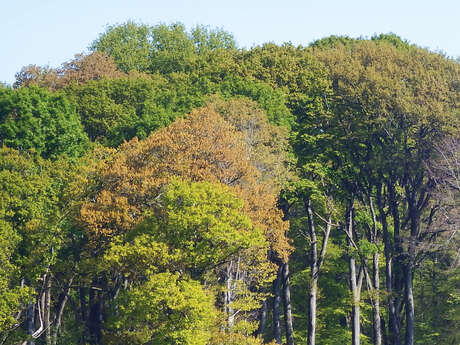 Balade famille "La balade surprise"