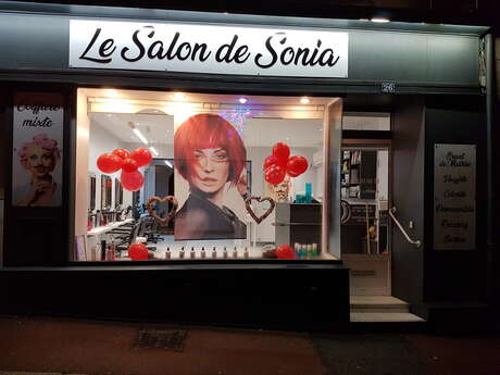 LE SALON DE SONIA