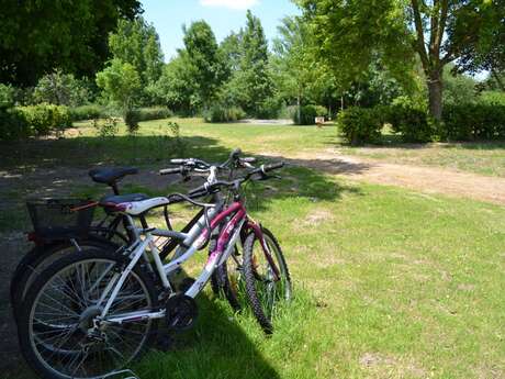 Location de vélos au camping de Marçon