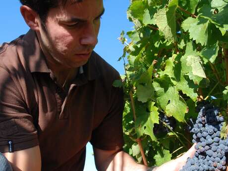 DOMAINE COIRIER