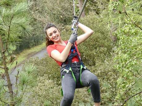 FEELING FOREST FEELING FOREST