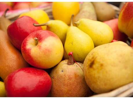 LES FRUITS DE BOURSEGUIN